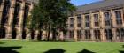 View of the tree and Bute Hall in the east quadrangle