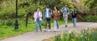 Male and female students walking down a path