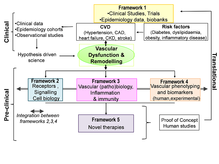 Image of scientific strategy