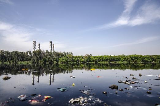 A body of water lined with trees under blue sky. Floating in the water is lots of different human made rubbish. 